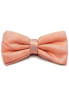 Papillon arancione