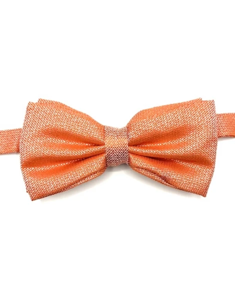 Papillon arancione