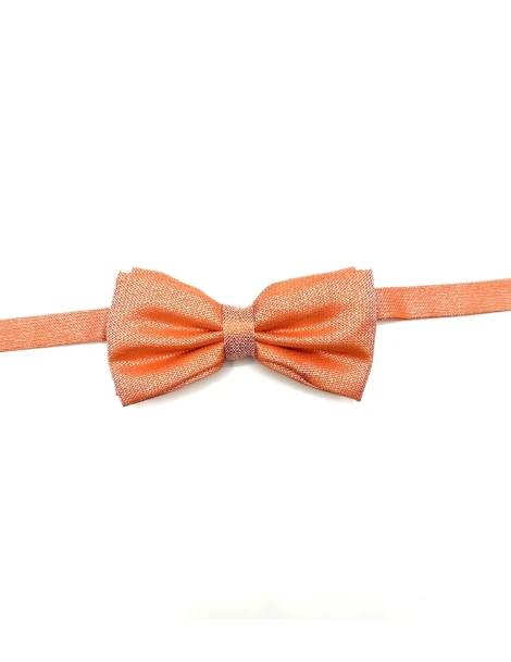 Papillon arancione