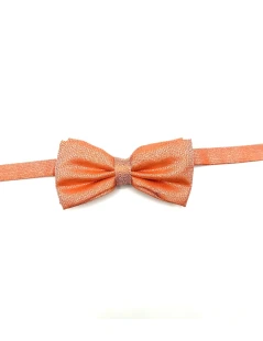 Papillon arancione