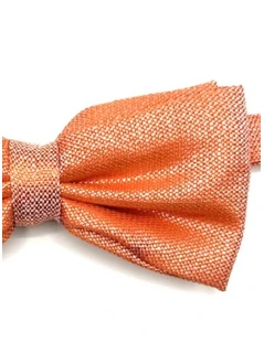 Papillon arancione